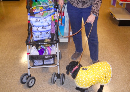 Joy and the geese at PetSmart 2012-02-25