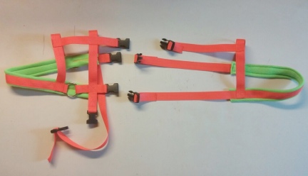 Orange Lime Green Goat Wagon Harness 